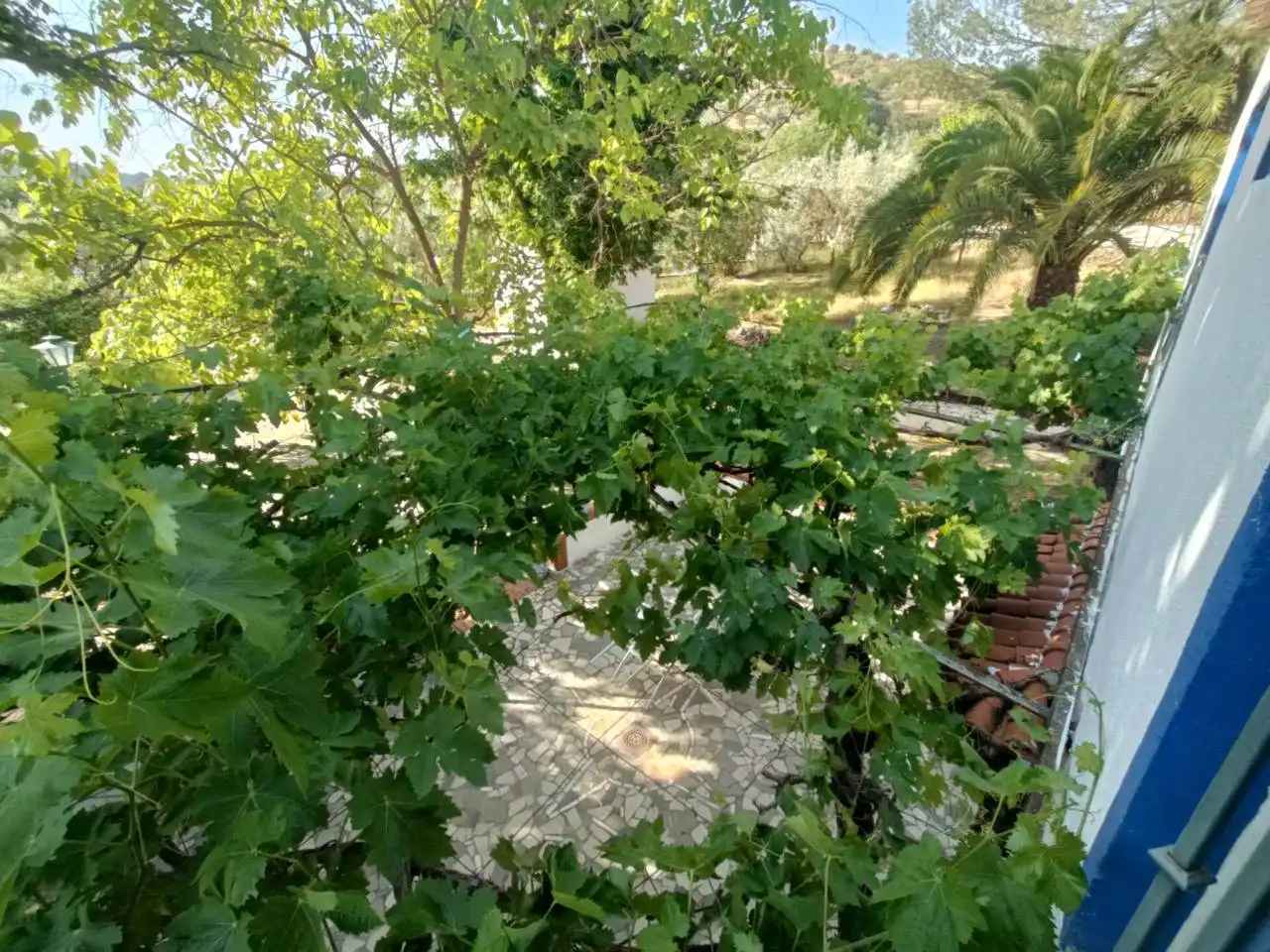 Terreni e lotti in vendita a CASERIA EL POZO LAS CARAS DE CACIN, imagen 29
