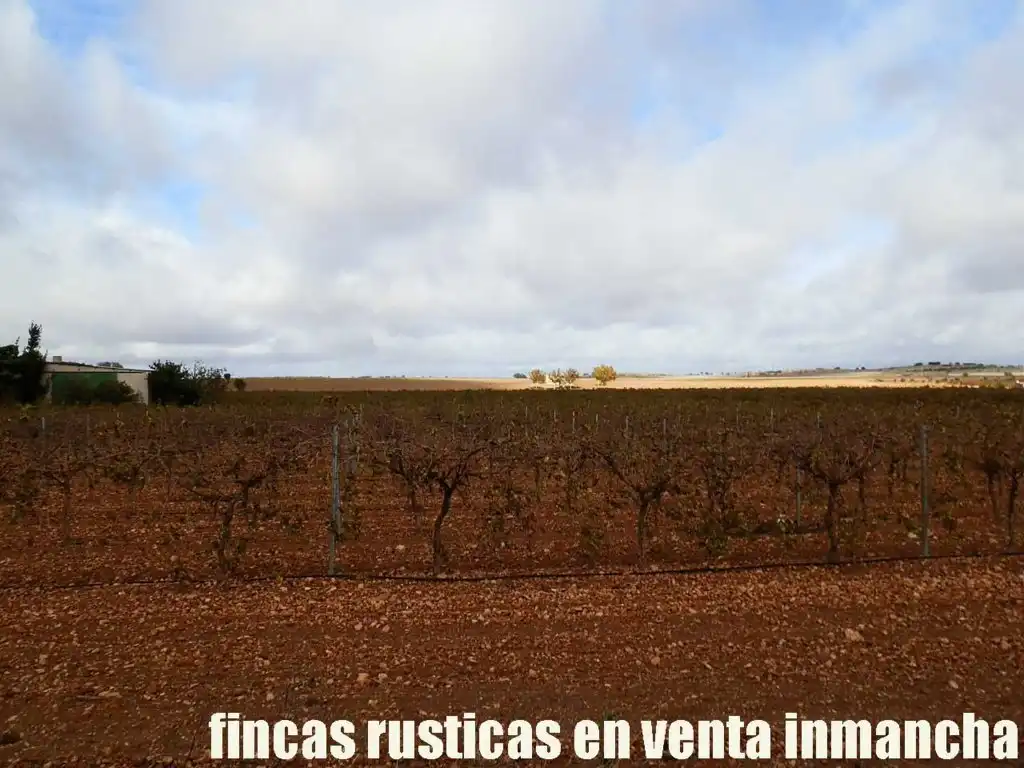 Terreno rústico en venta en Calle Socuéllamos 129, imagen 4