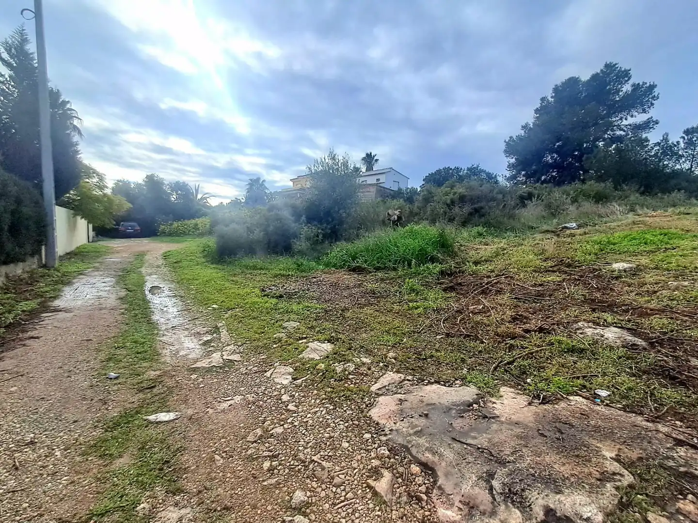 Terrenos y solares en venta en Calle El Pedregal, imagen 16