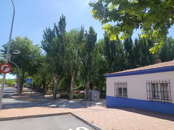 Haus zum Verkauf in Calle Poniente esquina con Avenida de la constitución, imagen 9