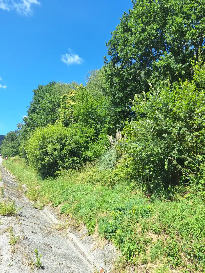 Grundstücke zur Miete in Culleredo