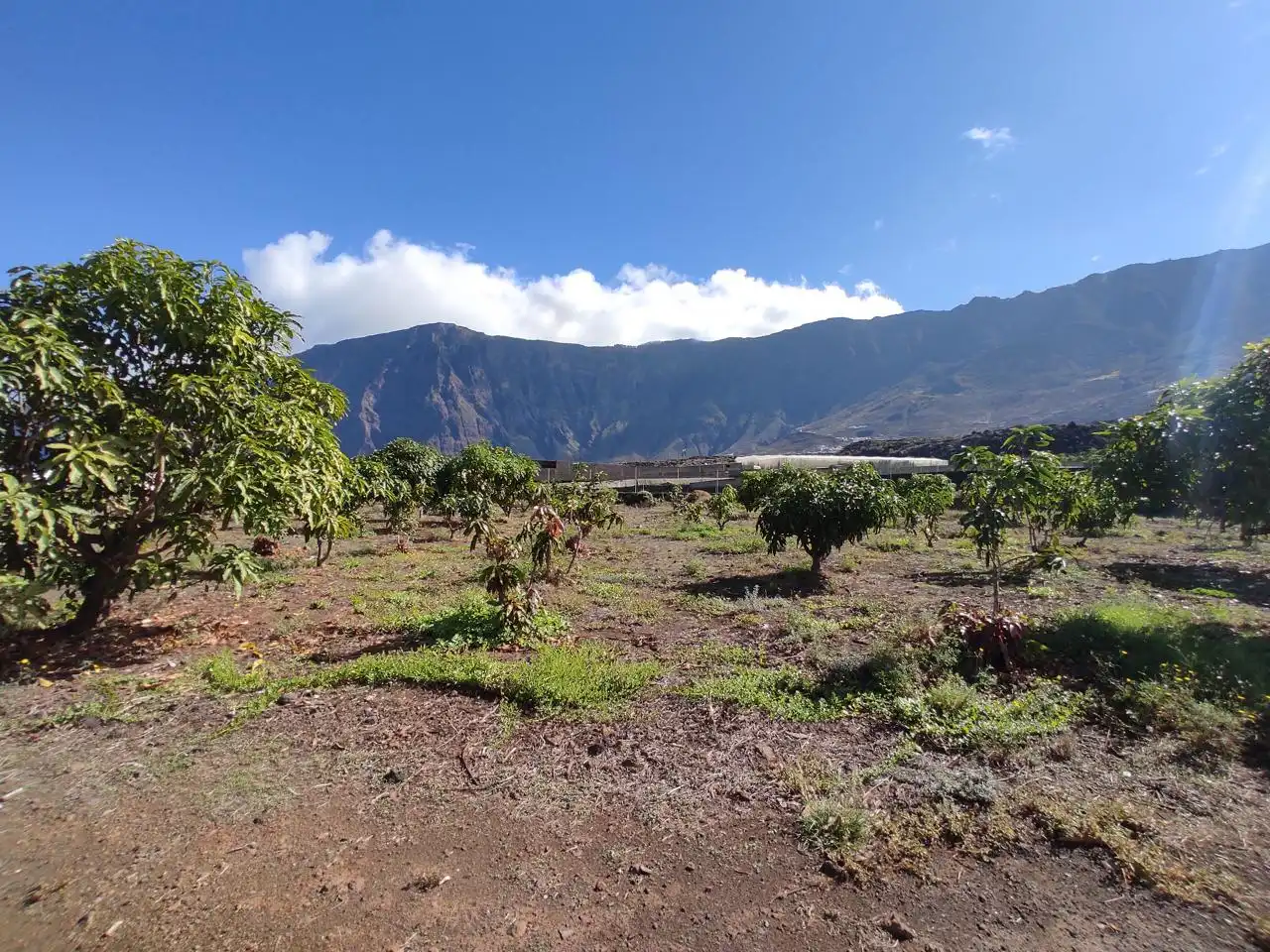 Vista exterior de Finca rústica en venta en Frontera