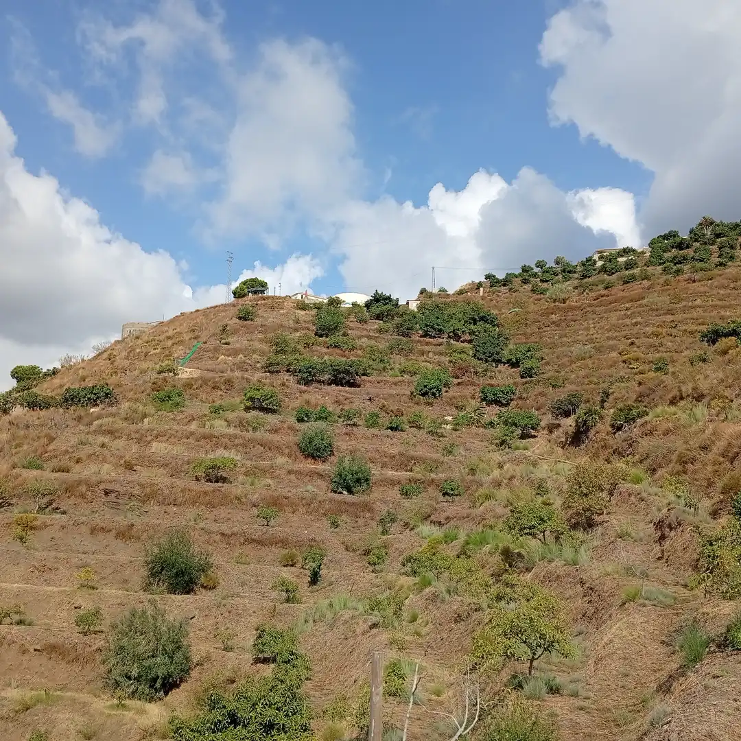 Country homes for sale in Almuñécar  with Private garden, Terrace and Storage room