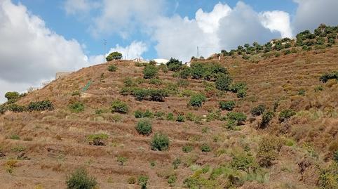 Foto 2 de Finca rústica en venda a Almuñecar Centro, Almuñécar