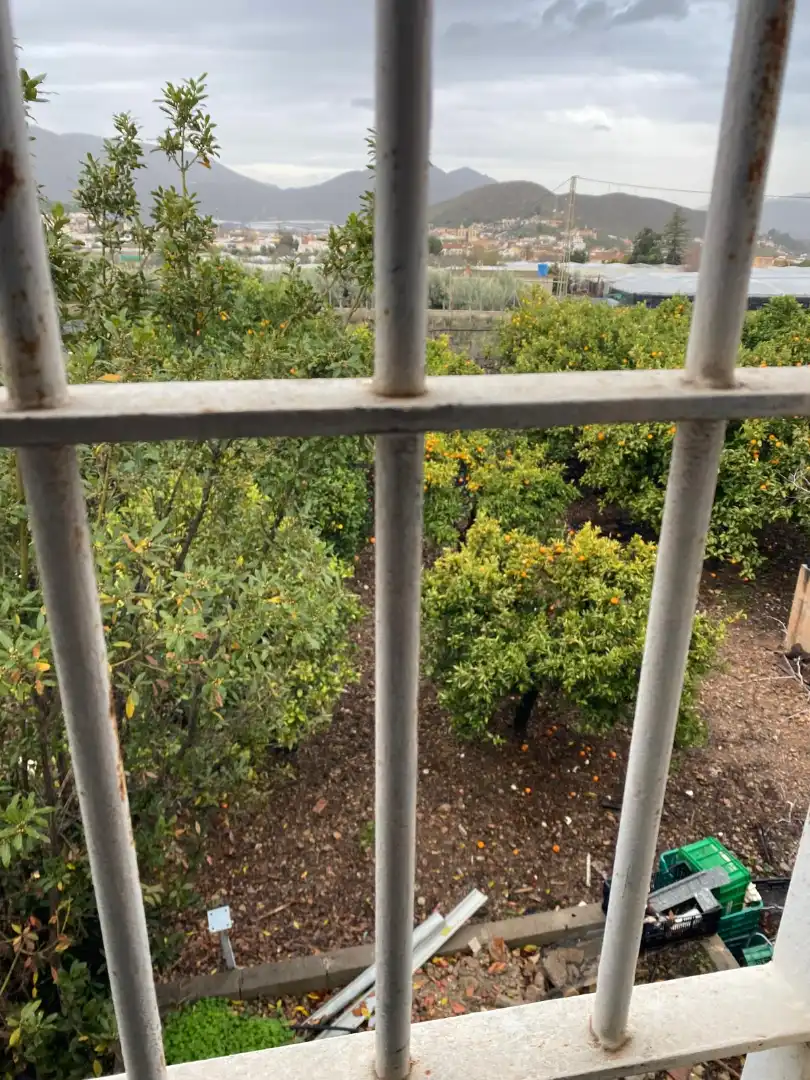 Terraza de Terreno en venta en Berja