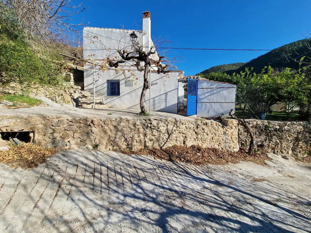 Vista exterior de Casa o chalet en venta en Alcaucín