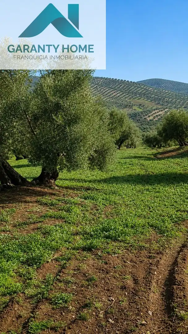 Terreni e lotti in vendita a Torredonjimeno, imagen 2
