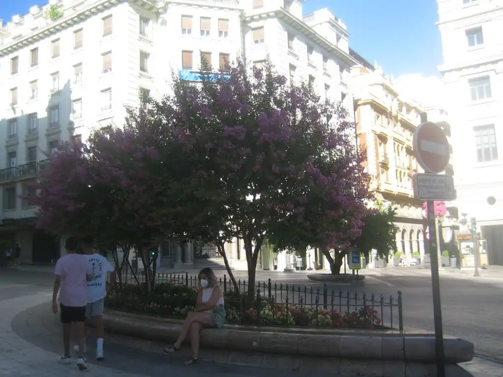 Pis amb terrassa de lloguer a Centro, imagen 18
