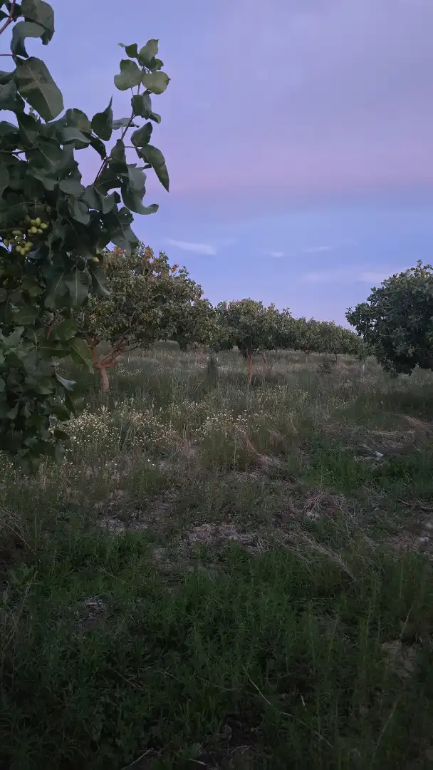 Terreno rustico in vendita a Ontígola, imagen 16