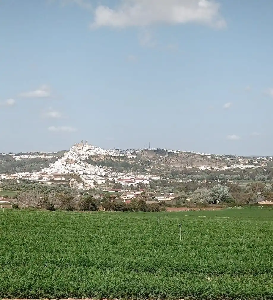 Terreno residencial en venta en Arcos de la Frontera