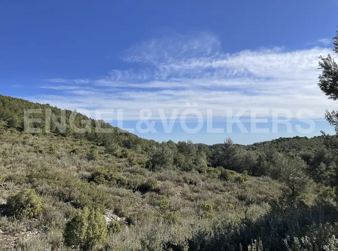 Country homes for sale in El Montmell  with Heating