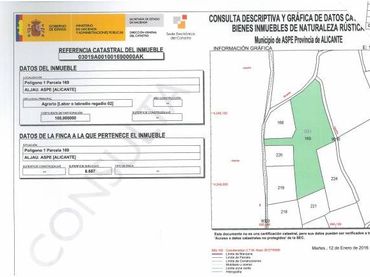 Terreno rustico in vendita a Aspe Centro