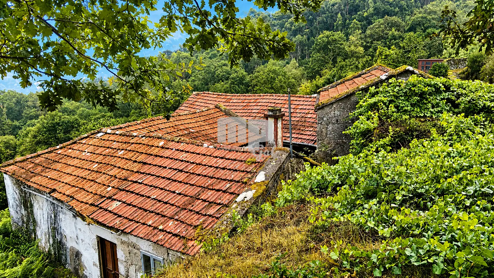 Exterior view of Country homes for sale in Fornelos de Montes  with Private garden, Terrace and Storage room