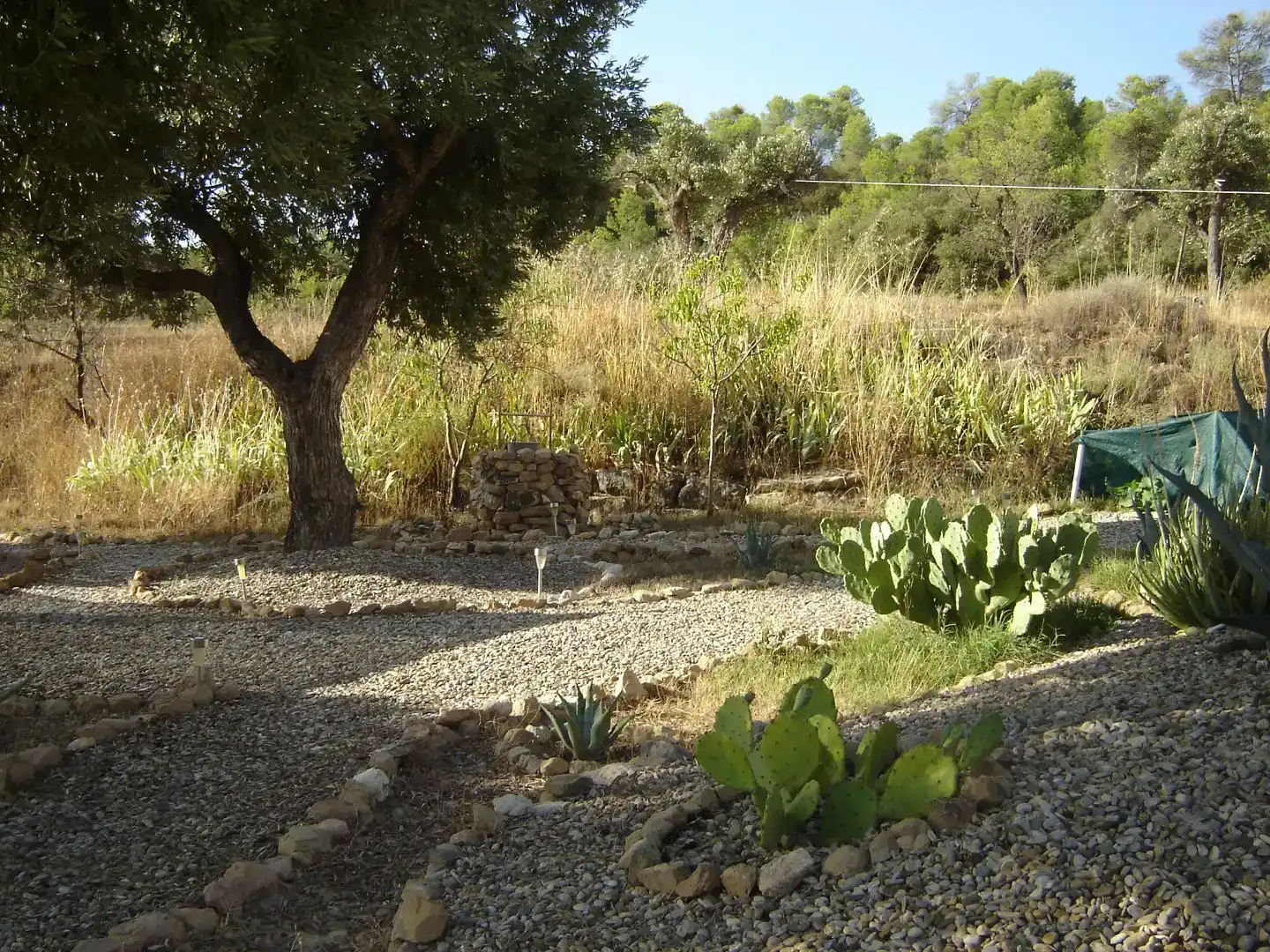 Jardí de Finca rústica en venda en Maella