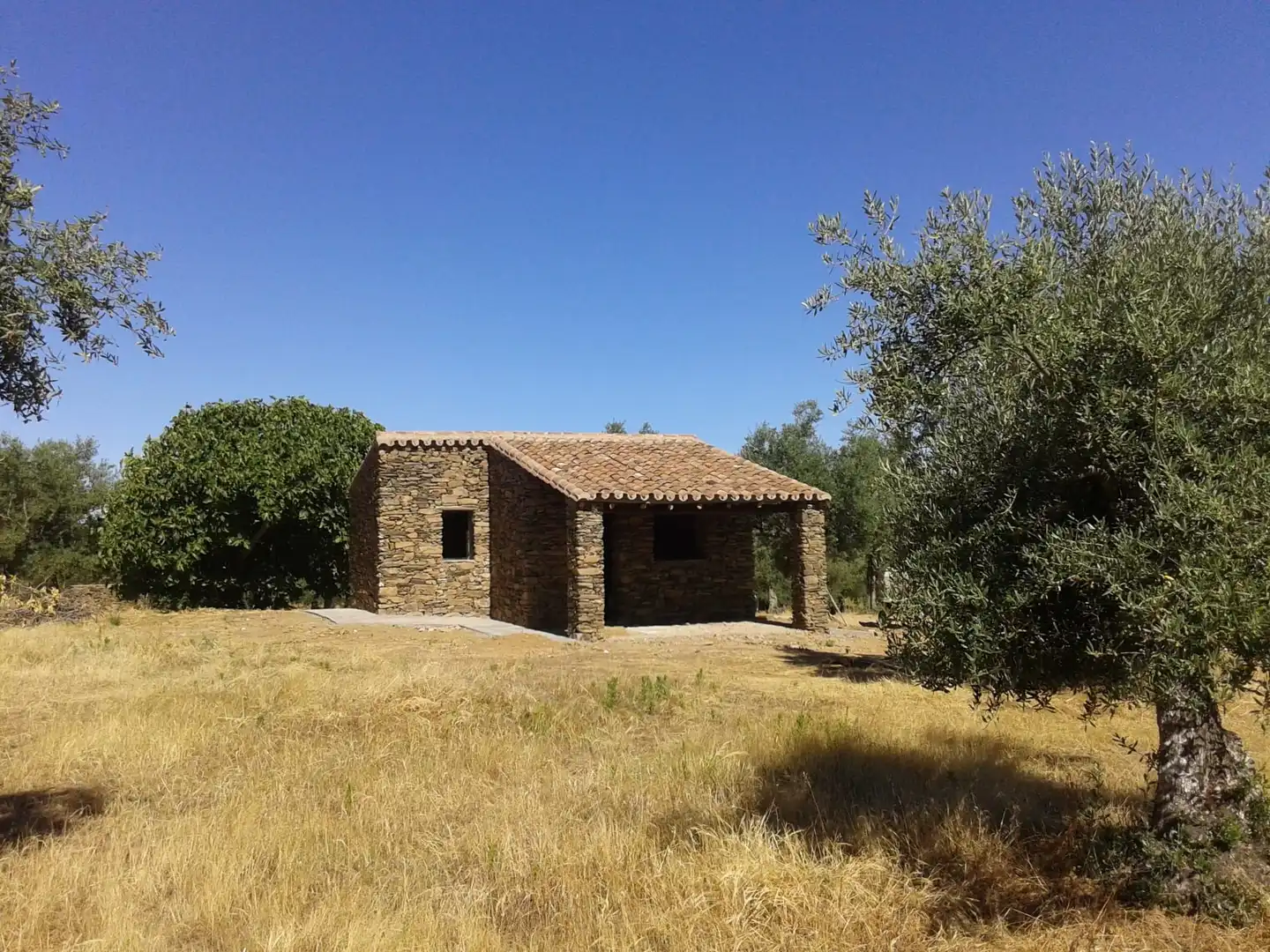 Terreni e lotti in vendita a Madroñera