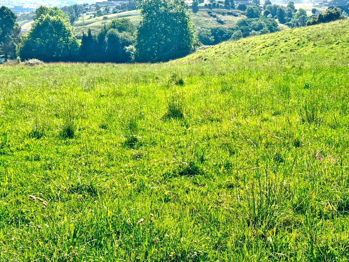Terreno en venta en Medio Cudeyo