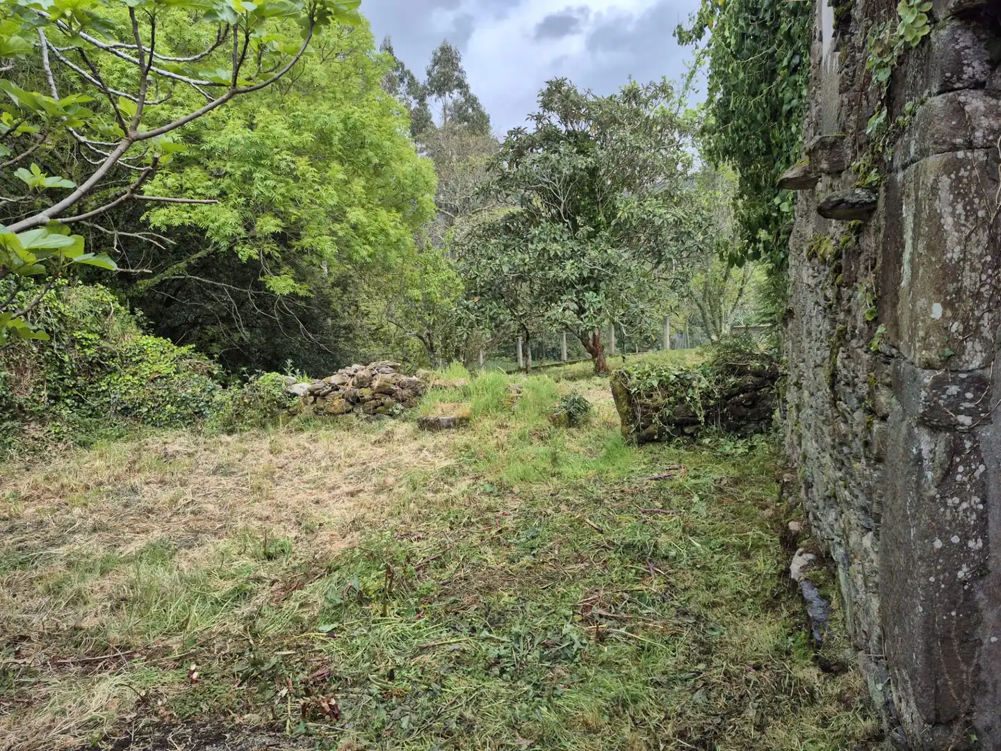 Finca rústica en venta en As Somozas  con Jardín privado