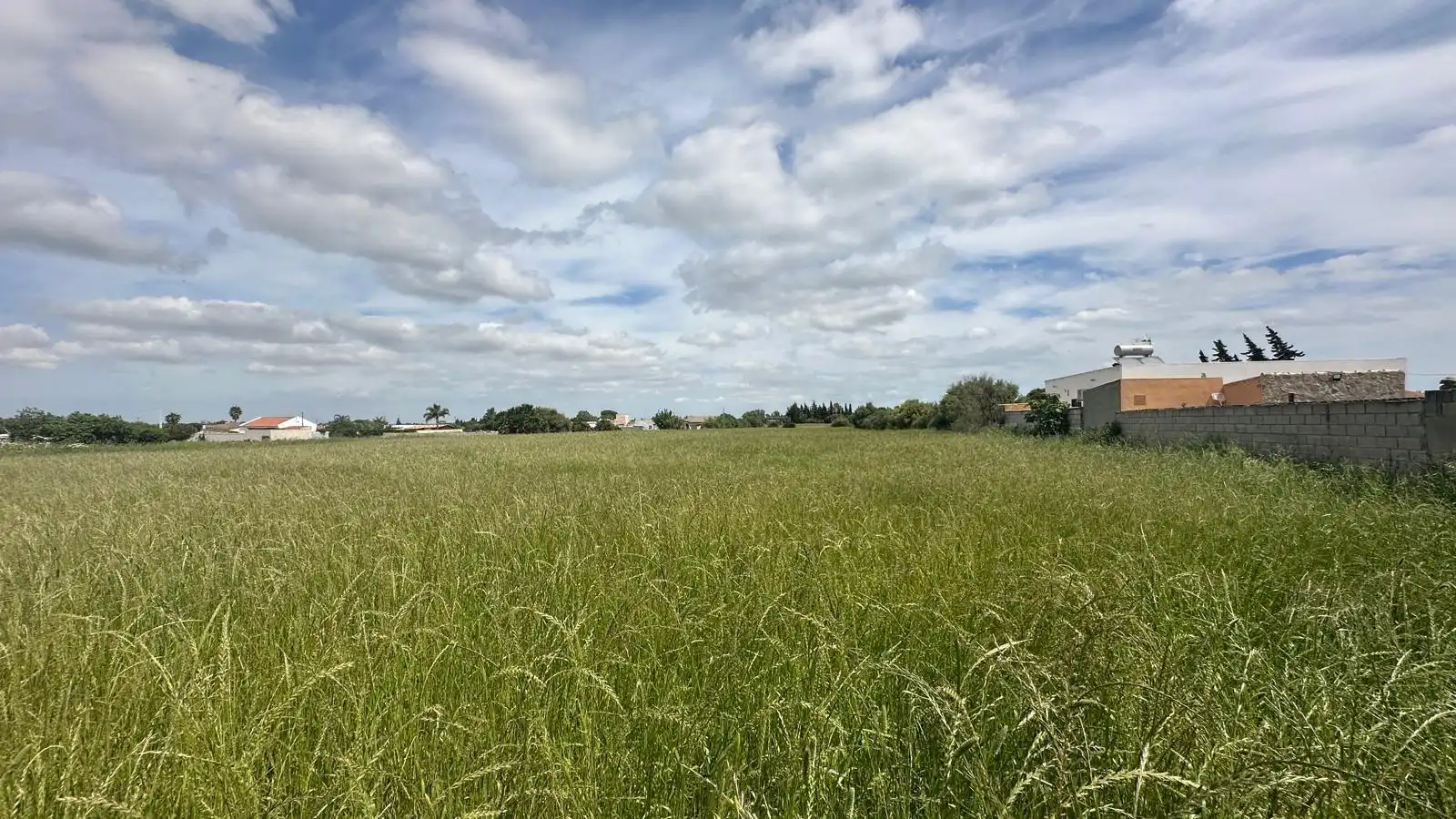 Finca rústica en venda en Conil de la Frontera