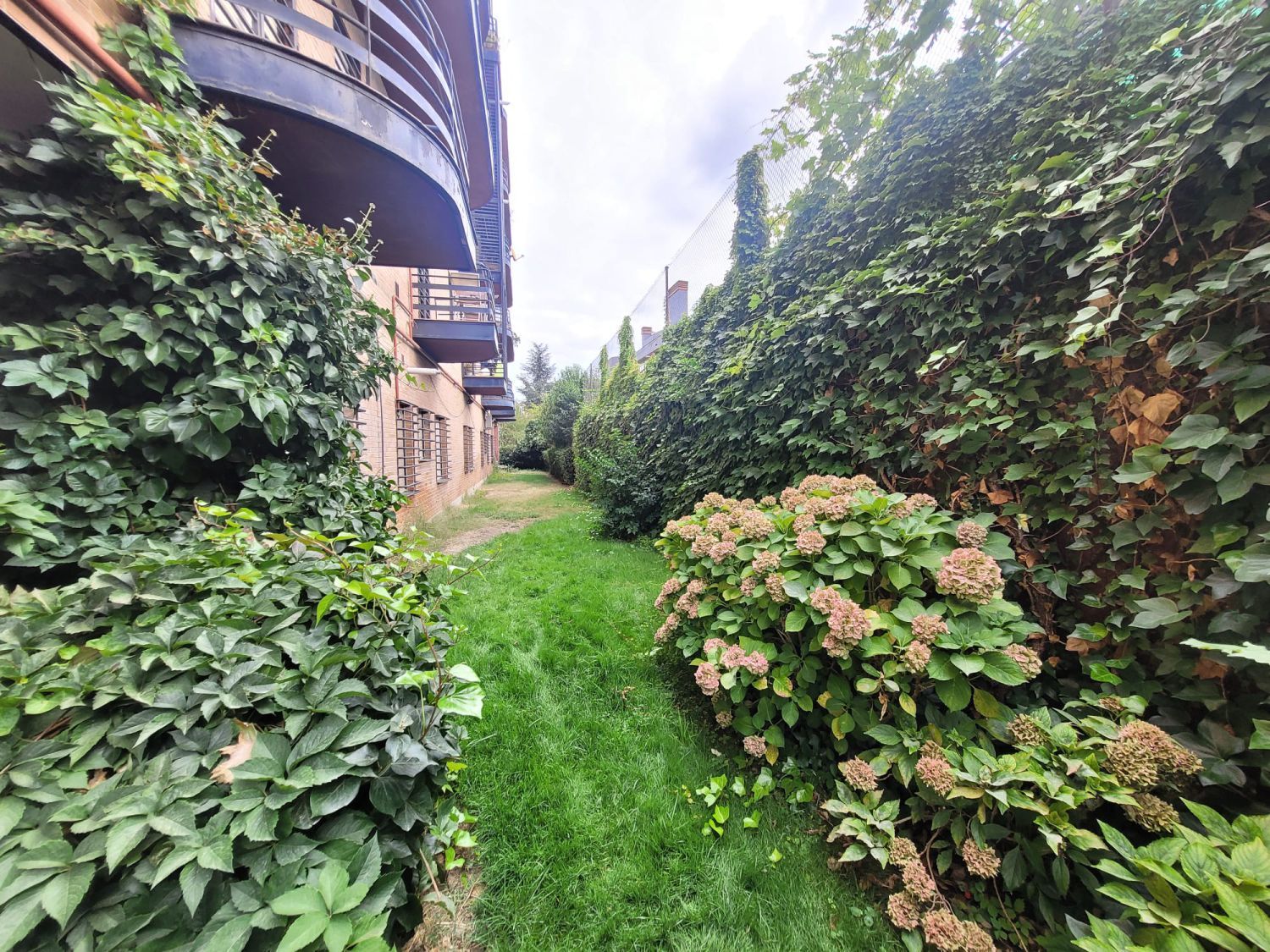 Garden of Flat to rent in  Madrid Capital