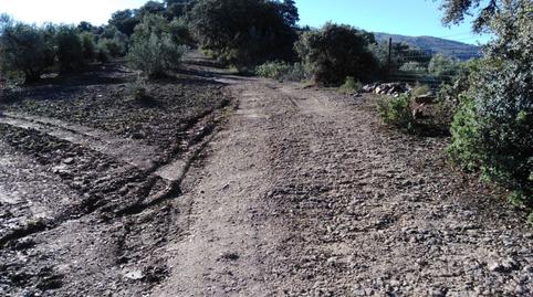 Foto 4 de Residencial en venda a Partidas Sur, Málaga
