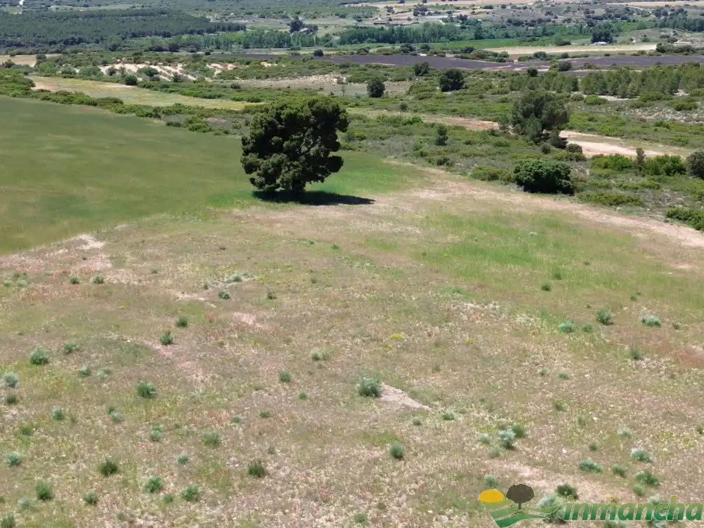 Terreni e lotti in vendita a Almansa, imagen 9