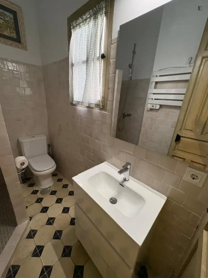 Bany de Apartament per a compartir en Centro