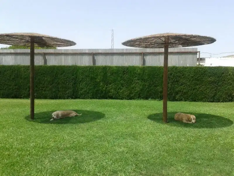 Chalet con piscina en venta en Carretera de Caulina 56, imagen 16