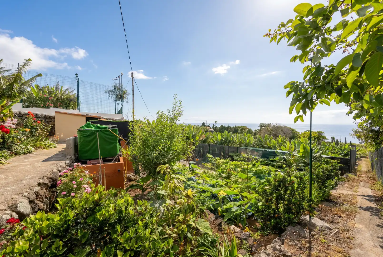 Jardín de Casa o chalet en venta en La Orotava con Jardín privado, Terraza y Trastero