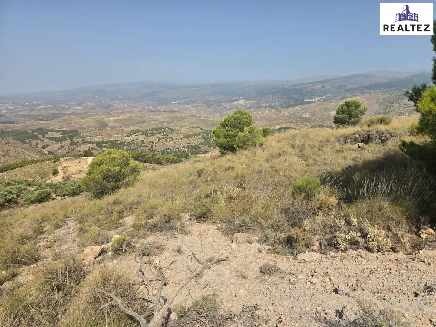 Terrain rustique à vendre à Alcolea, imagen 9
