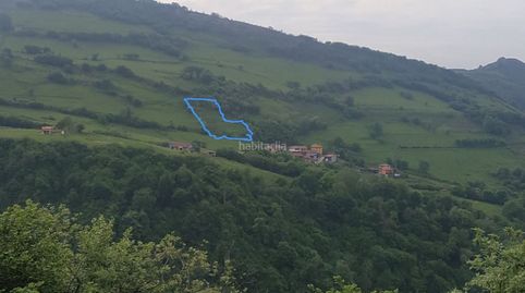 Finca urbana, immagine 4