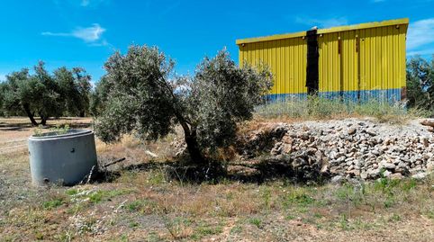 FINCA DE OLIVOS, HUELMA, immagine 2