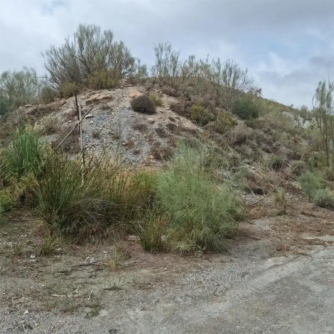 Finca rústica en venda en Motril