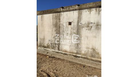 Foto 5 de Finca rústica en venta en Algemesí, Valencia
