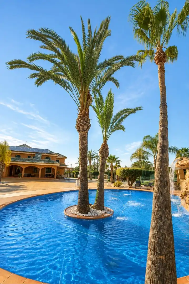 Swimming pool of Houses for rent in Elche / Elx  with Air Conditioner, Heating and Private garden