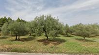 Finca rústica en venda en Cervera del Maestre