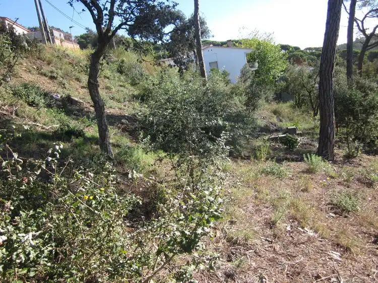 Terreny residencial en venda a Terrafortuna - Puig Ventós, imagen 4