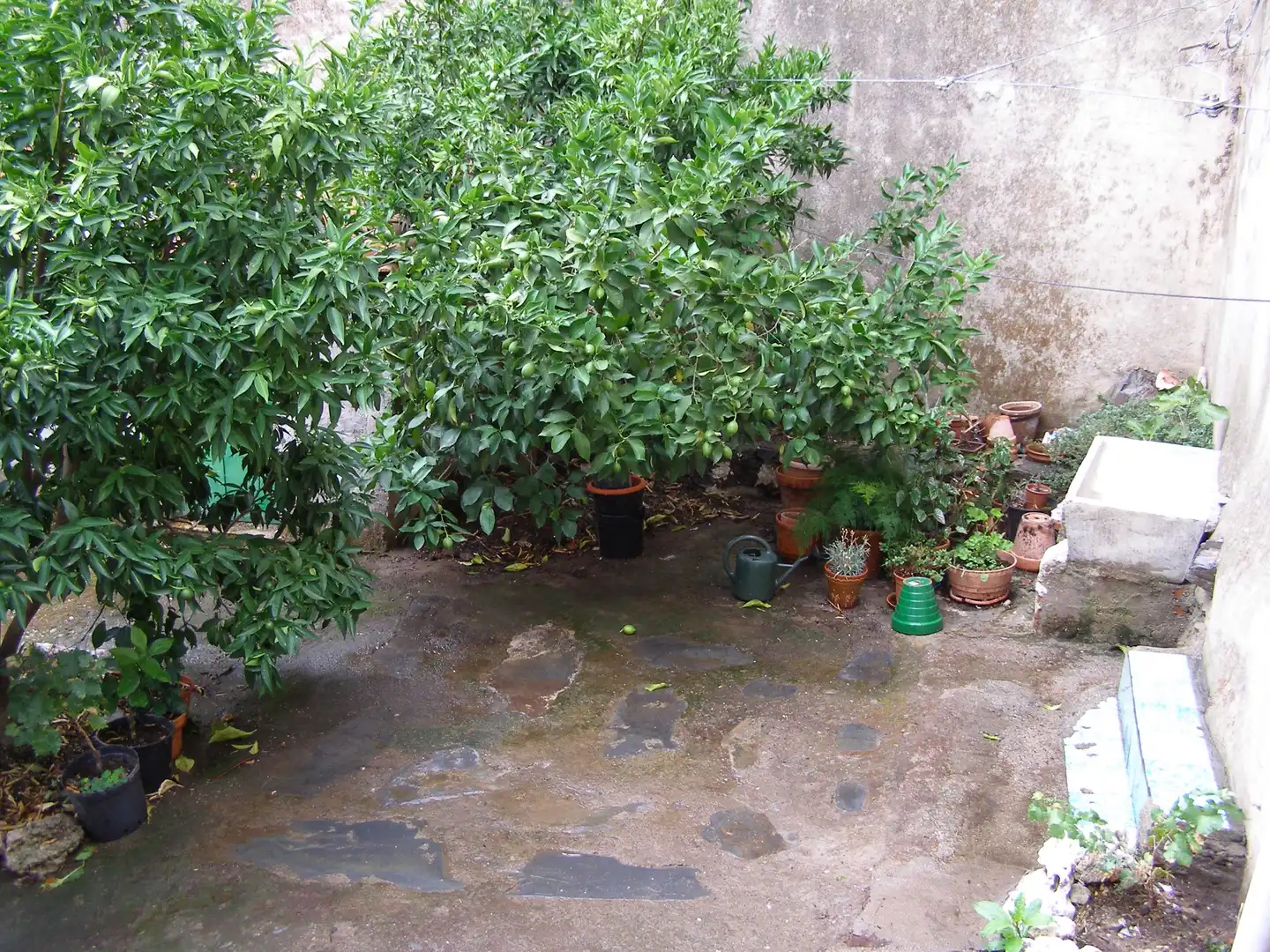 Xalet en venda a Casar de Palomero, imagen 12