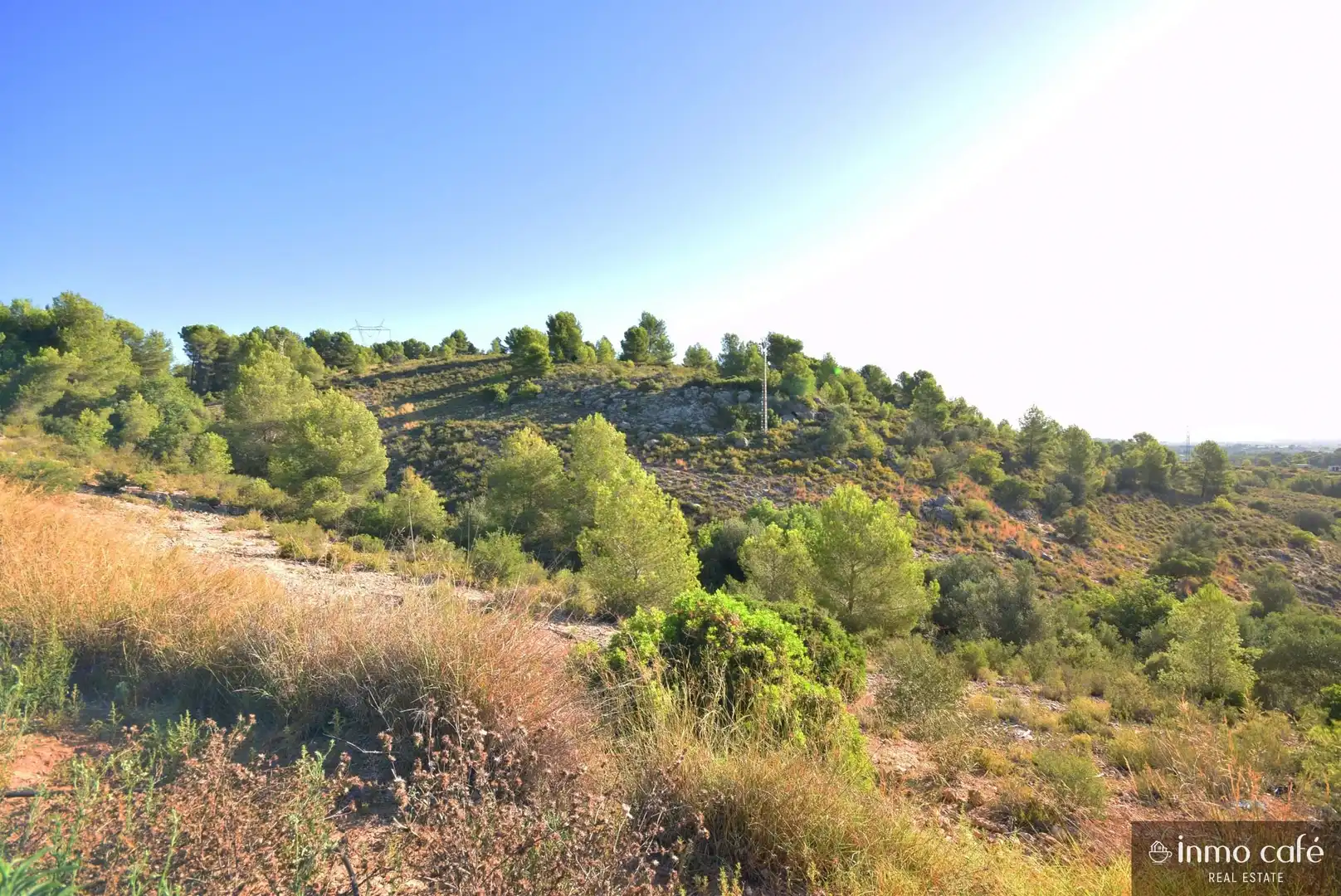 Terreny rústic en venda a L'Alcúdia de Crespins, imagen 7