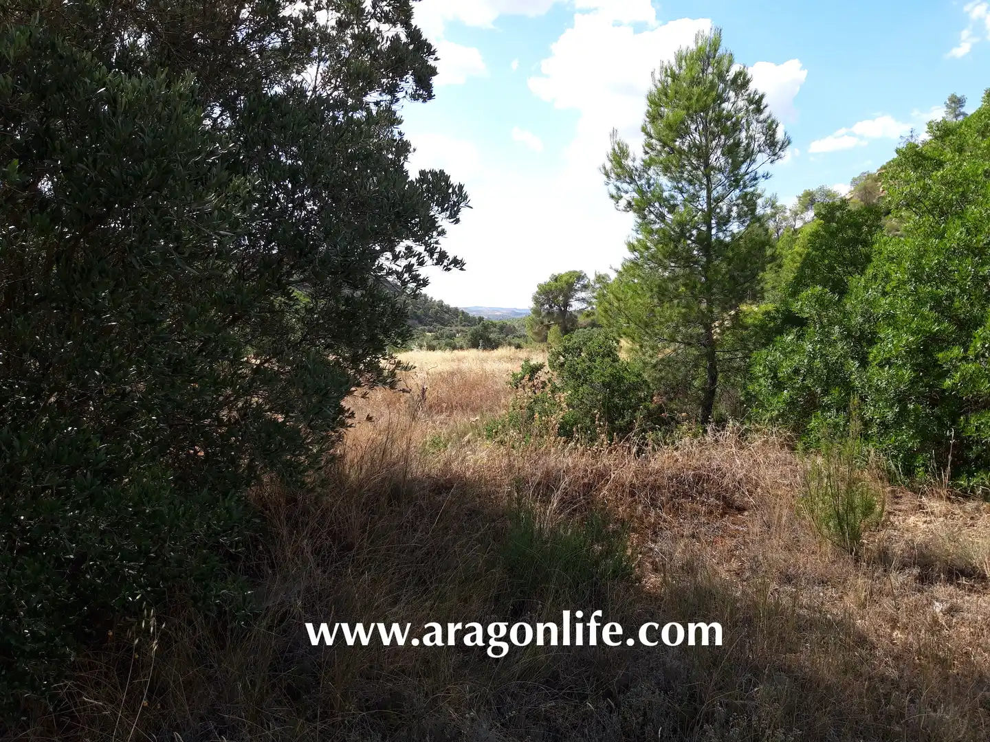 Finca rústica en venta en Fabara