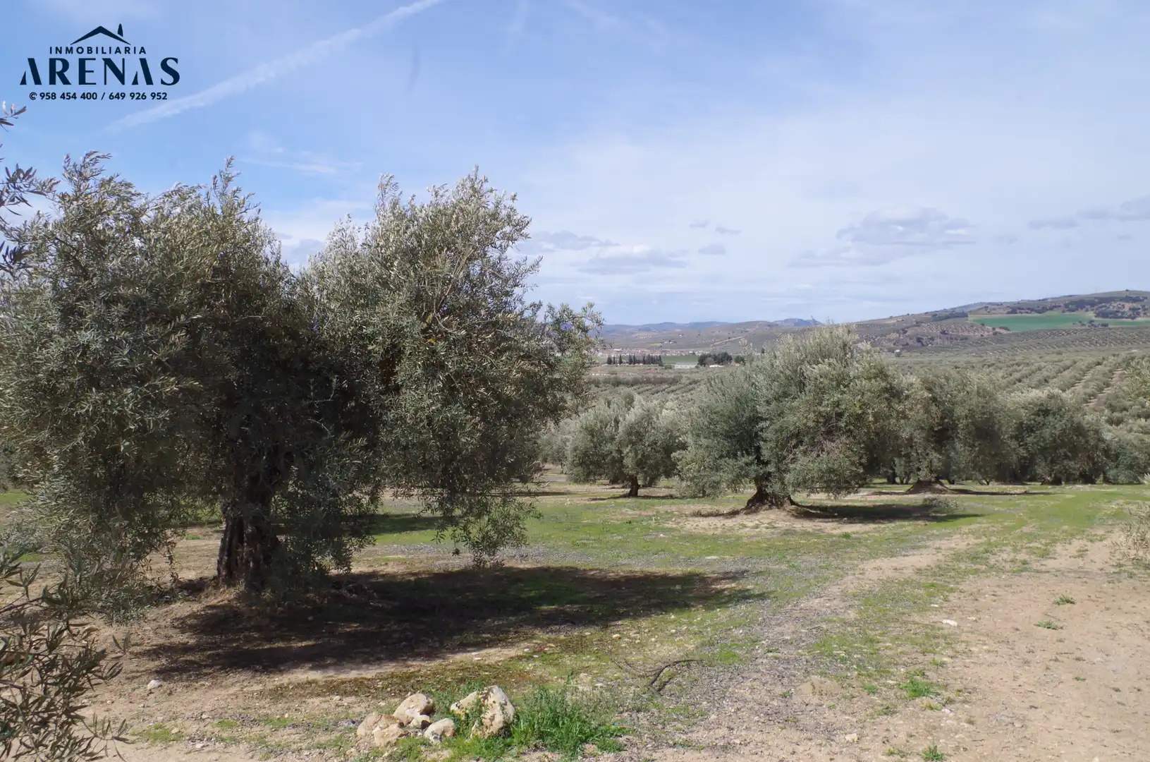 Residential land for sale in Íllora, imagen 7
