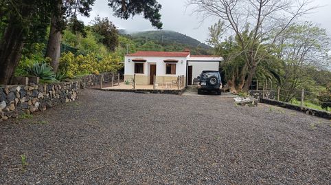Photo 5 of Land for sale in La Vega - El Amparo - Cueva del Viento, Icod de los Vinos