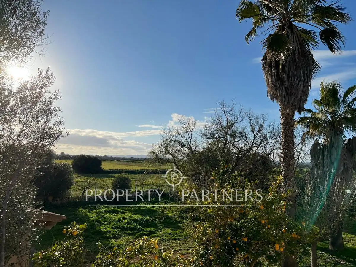 Chalet con jardín en venta en Felanitx, imagen 11