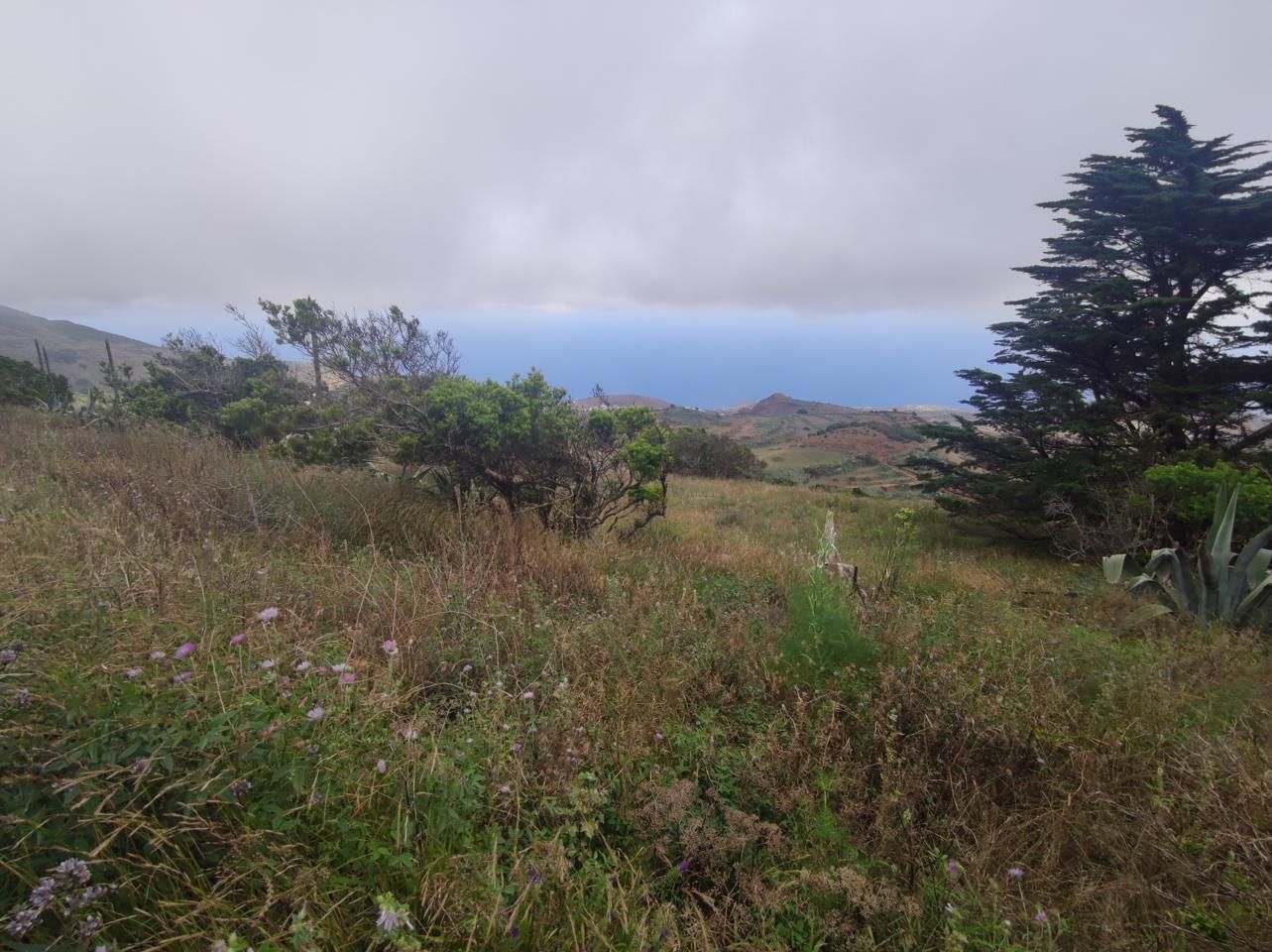 Residencial en venda en Valverde (Santa Cruz de Tenerife)