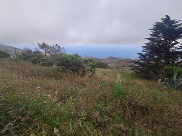 Grundstücke und Bauplätze zum Verkauf in montaña vieja valverde