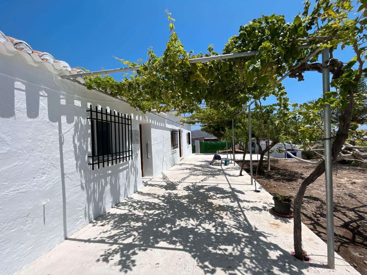 Finca rústica de alquiler en Palomares