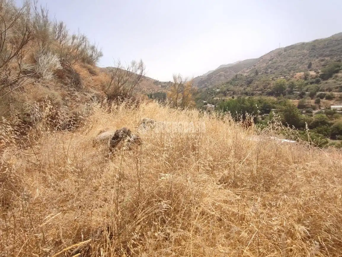 Rustikales Grundstück zum Verkauf in Pinos Genil, imagen 13
