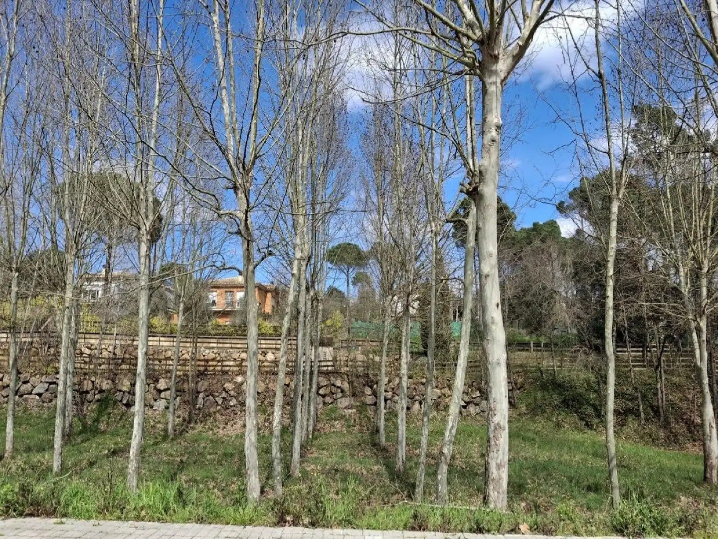 Houses for sale in Sils  with Private garden, Terrace and Storage room