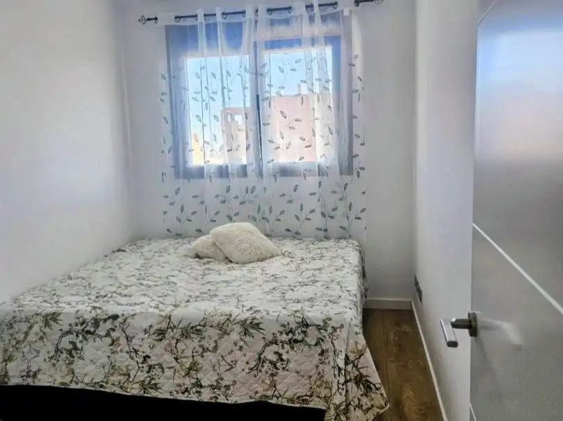 Flat with pool to rent in Avenida Dolores Rodríguez de Aragón 6, imagen 13