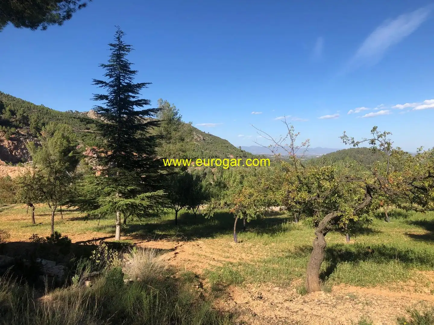 Casa o chalet en venta en Chiva con Trastero