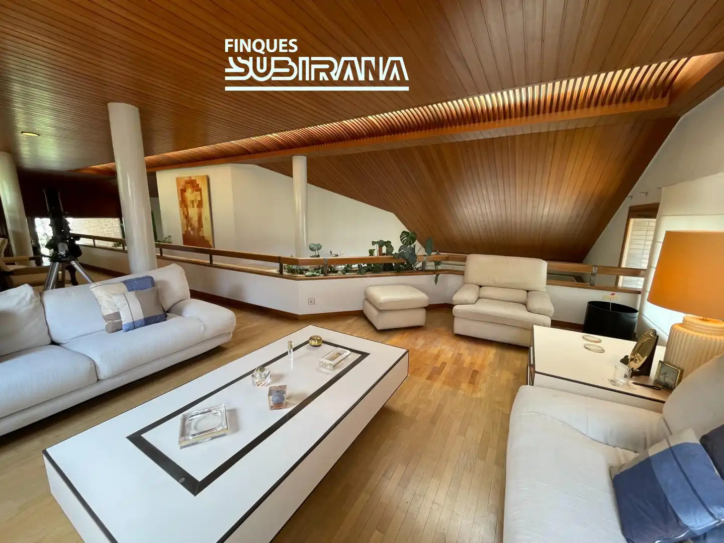 Sala d'estar de Casa o xalet en venda en Capellades amb Aire condicionat, Calefacció i Jardí privat